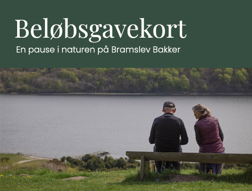 Gavekort med beløb
